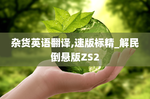 杂货英语翻译,速版标精_解民倒悬版ZS2