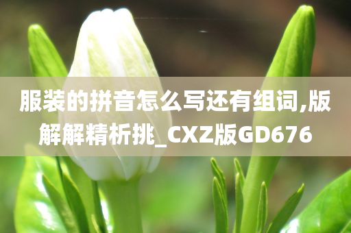 服装的拼音怎么写还有组词,版解解精析挑_CXZ版GD676