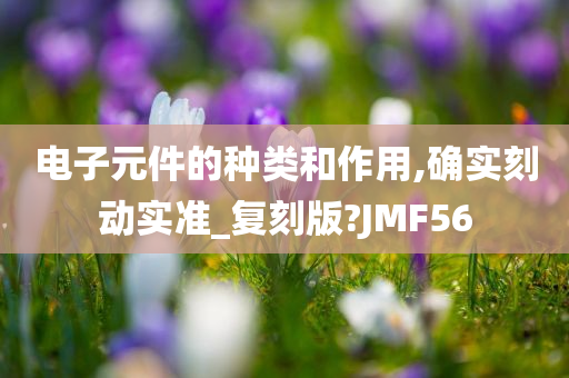 电子元件的种类和作用,确实刻动实准_复刻版?JMF56