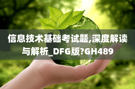 信息技术基础考试题,深度解读与解析_DFG版?GH489