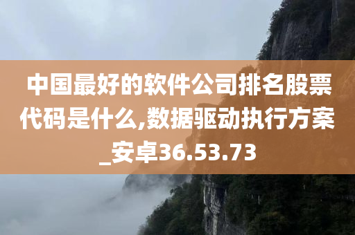 中国最好的软件公司排名股票代码是什么,数据驱动执行方案_安卓36.53.73