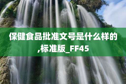 保健食品批准文号是什么样的,标准版_FF45