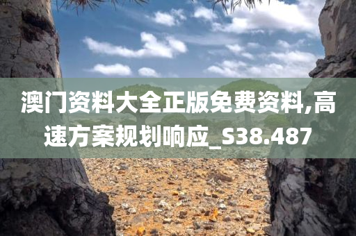 澳门资料大全正版免费资料,高速方案规划响应_S38.487