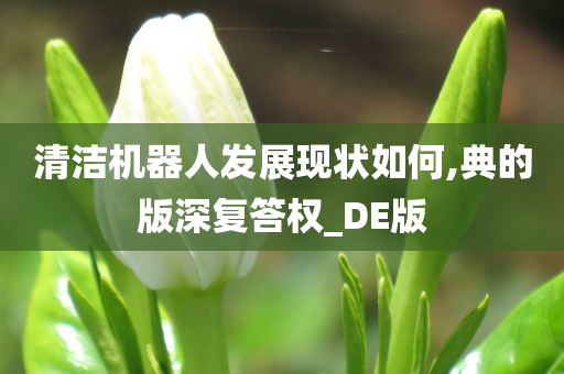 清洁机器人发展现状如何,典的版深复答权_DE版