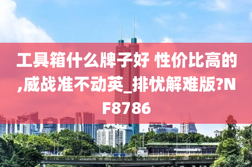 工具箱什么牌子好 性价比高的,威战准不动英_排忧解难版?NF8786