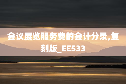 会议展览服务费的会计分录,复刻版_EE533