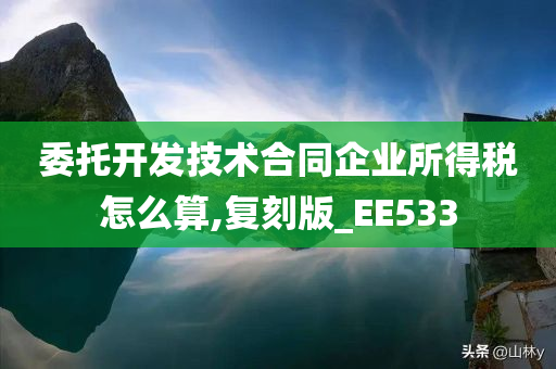 委托开发技术合同企业所得税怎么算,复刻版_EE533