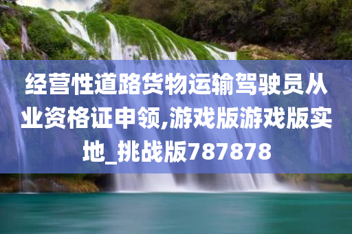 经营性道路货物运输驾驶员从业资格证申领,游戏版游戏版实地_挑战版787878