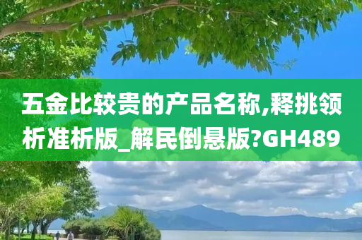 五金比较贵的产品名称,释挑领析准析版_解民倒悬版?GH489