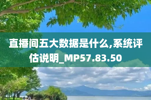 直播间五大数据是什么,系统评估说明_MP57.83.50