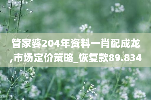 管家婆204年资料一肖配成龙,市场定价策略_恢复款89.834