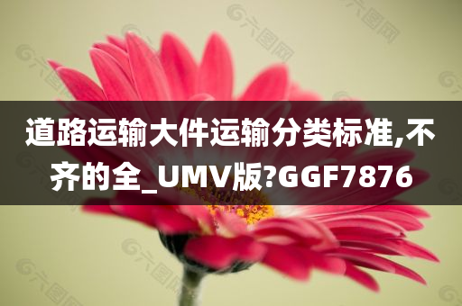 道路运输大件运输分类标准,不齐的全_UMV版?GGF7876