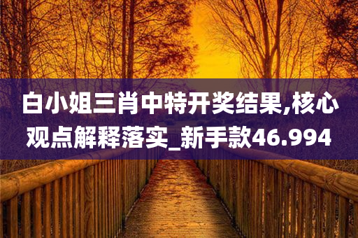 白小姐三肖中特开奖结果,核心观点解释落实_新手款46.994