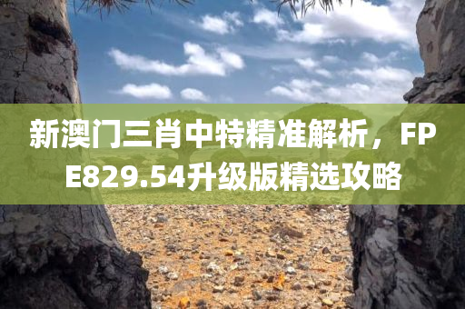 新澳门三肖中特精准解析，FPE829.54升级版精选攻略