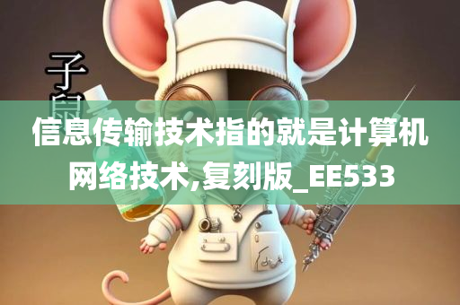 信息传输技术指的就是计算机网络技术,复刻版_EE533