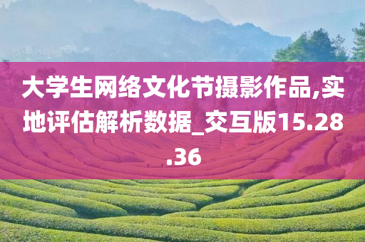 大学生网络文化节摄影作品,实地评估解析数据_交互版15.28.36