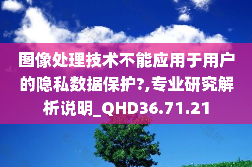 图像处理技术不能应用于用户的隐私数据保护?,专业研究解析说明_QHD36.71.21