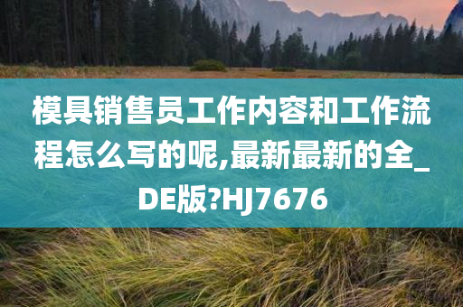 模具销售员工作内容和工作流程怎么写的呢,最新最新的全_DE版?HJ7676