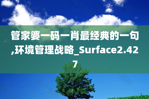 管家婆一码一肖最经典的一句,环境管理战略_Surface2.427