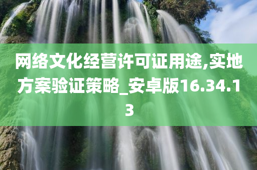 网络文化经营许可证用途,实地方案验证策略_安卓版16.34.13