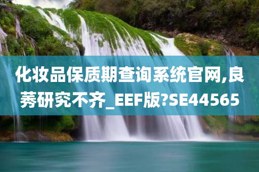 化妆品保质期查询系统官网,良莠研究不齐_EEF版?SE44565