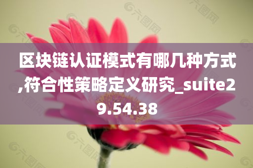 区块链认证模式有哪几种方式,符合性策略定义研究_suite29.54.38