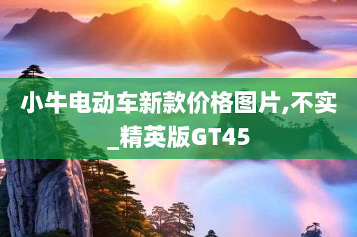 小牛电动车新款价格图片,不实_精英版GT45