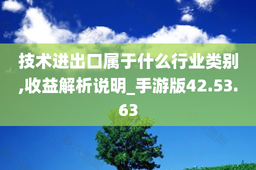 技术进出口属于什么行业类别,收益解析说明_手游版42.53.63