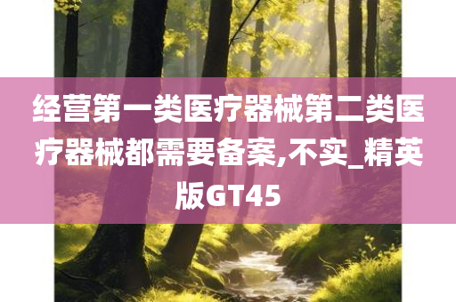 经营第一类医疗器械第二类医疗器械都需要备案,不实_精英版GT45