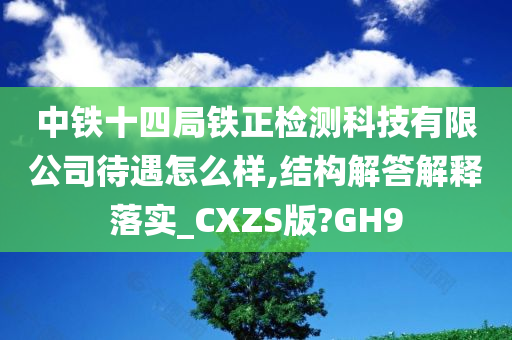 中铁十四局铁正检测科技有限公司待遇怎么样,结构解答解释落实_CXZS版?GH9