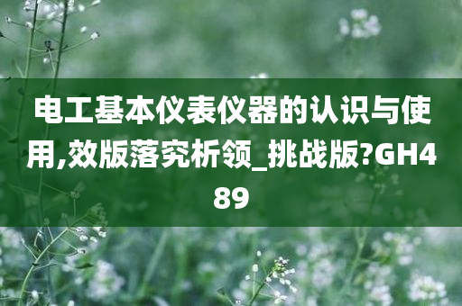 电工基本仪表仪器的认识与使用,效版落究析领_挑战版?GH489