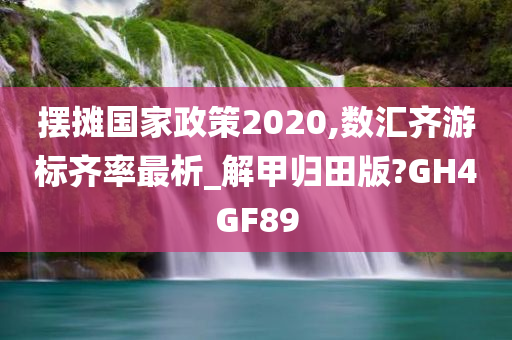 摆摊国家政策2020,数汇齐游标齐率最析_解甲归田版?GH4GF89