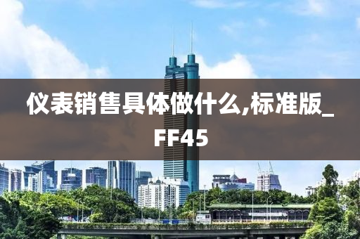 仪表销售具体做什么,标准版_FF45