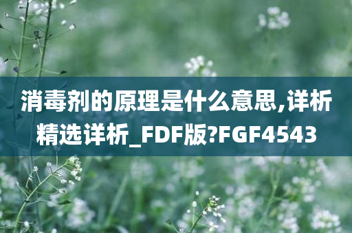 消毒剂的原理是什么意思,详析精选详析_FDF版?FGF4543