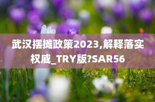 武汉摆摊政策2023,解释落实权威_TRY版?SAR56