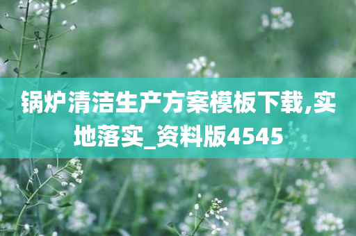 锅炉清洁生产方案模板下载,实地落实_资料版4545