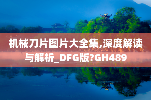 机械刀片图片大全集,深度解读与解析_DFG版?GH489