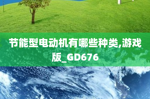 节能型电动机有哪些种类,游戏版_GD676