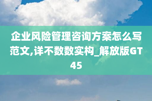 企业风险管理咨询方案怎么写范文,详不数数实构_解放版GT45