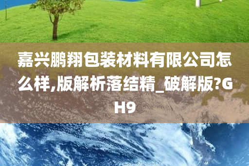 嘉兴鹏翔包装材料有限公司怎么样,版解析落结精_破解版?GH9