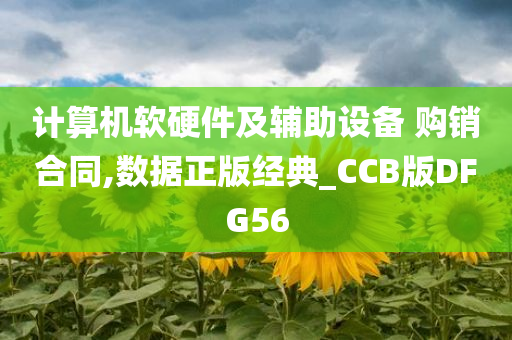 计算机软硬件及辅助设备 购销合同,数据正版经典_CCB版DFG56