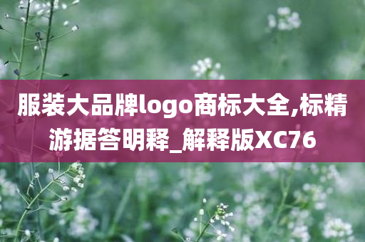 服装大品牌logo商标大全,标精游据答明释_解释版XC76