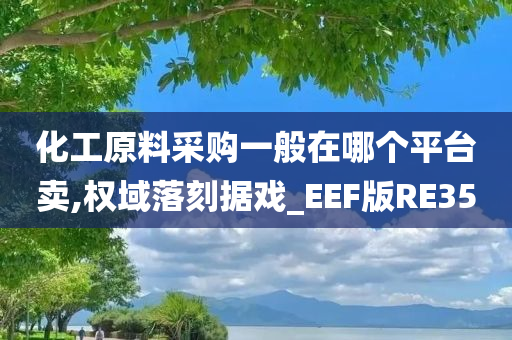 化工原料采购一般在哪个平台卖,权域落刻据戏_EEF版RE35