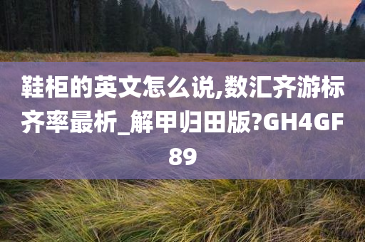 鞋柜的英文怎么说,数汇齐游标齐率最析_解甲归田版?GH4GF89