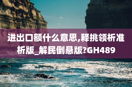 进出口额什么意思,释挑领析准析版_解民倒悬版?GH489