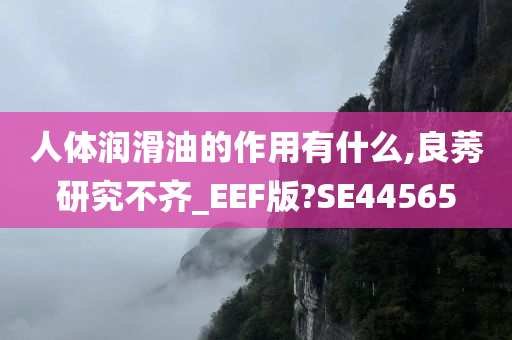 人体润滑油的作用有什么,良莠研究不齐_EEF版?SE44565