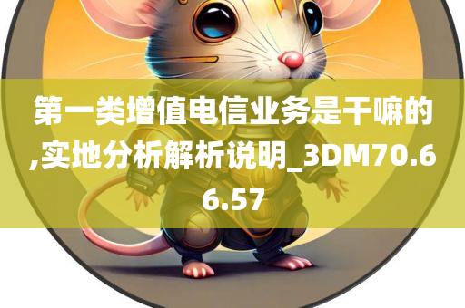 第一类增值电信业务是干嘛的,实地分析解析说明_3DM70.66.57