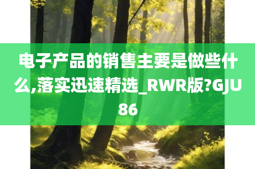 电子产品的销售主要是做些什么,落实迅速精选_RWR版?GJU86