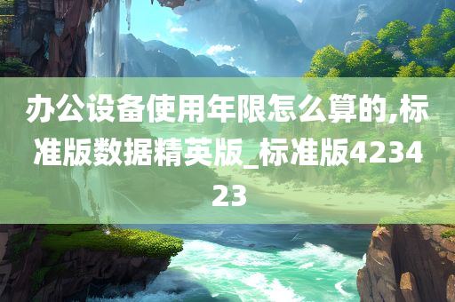 办公设备使用年限怎么算的,标准版数据精英版_标准版423423