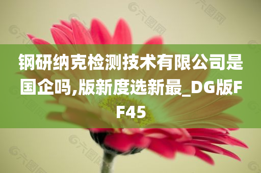 钢研纳克检测技术有限公司是国企吗,版新度选新最_DG版FF45